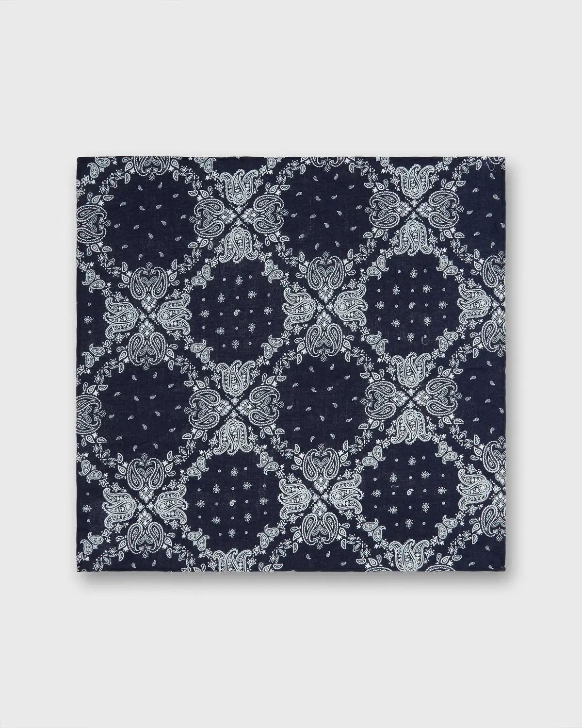 Cotton Print Pocket Square In Navy/White Paisley 2