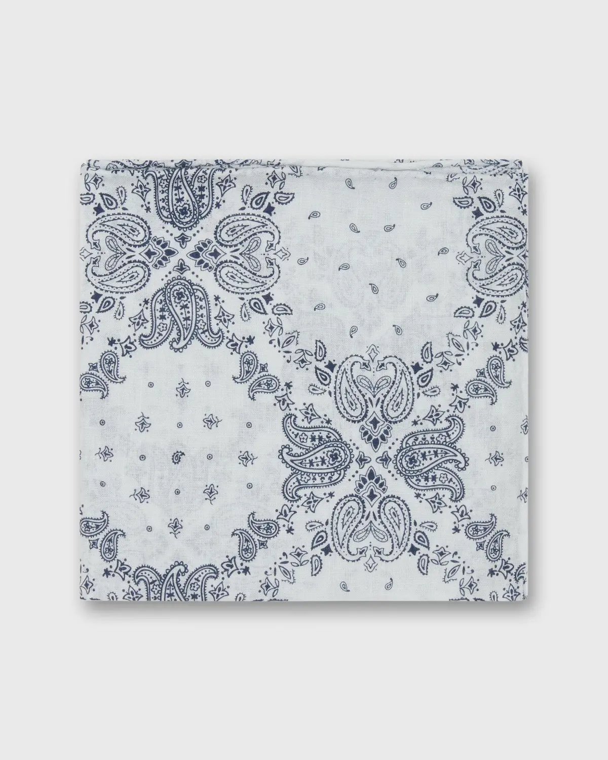 Cotton Print Pocket Square In White/Navy Paisley 1
