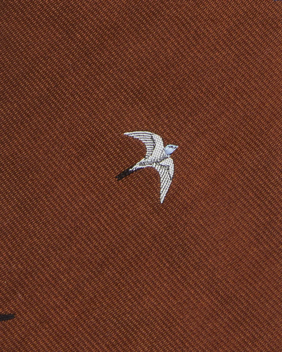 Silk Club Tie In Havana/White/Sky Swallow 2