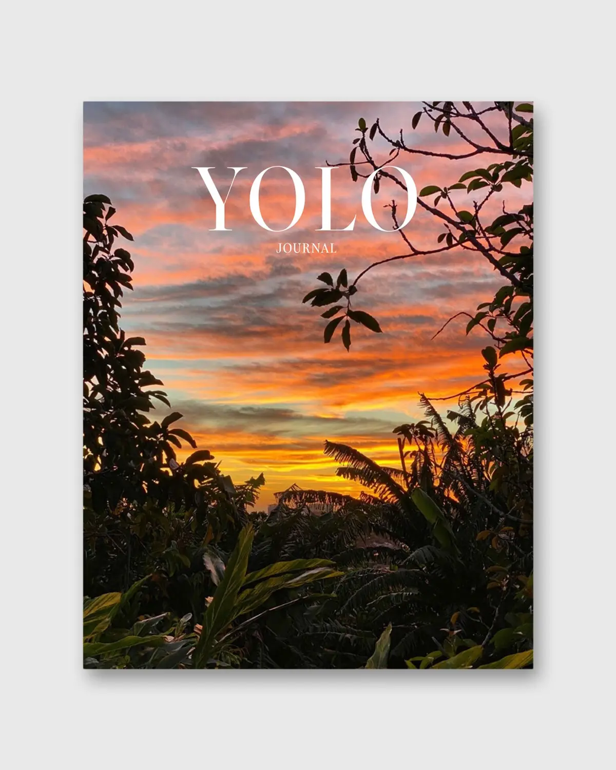 Yolo Journal - Issue No. 17 1