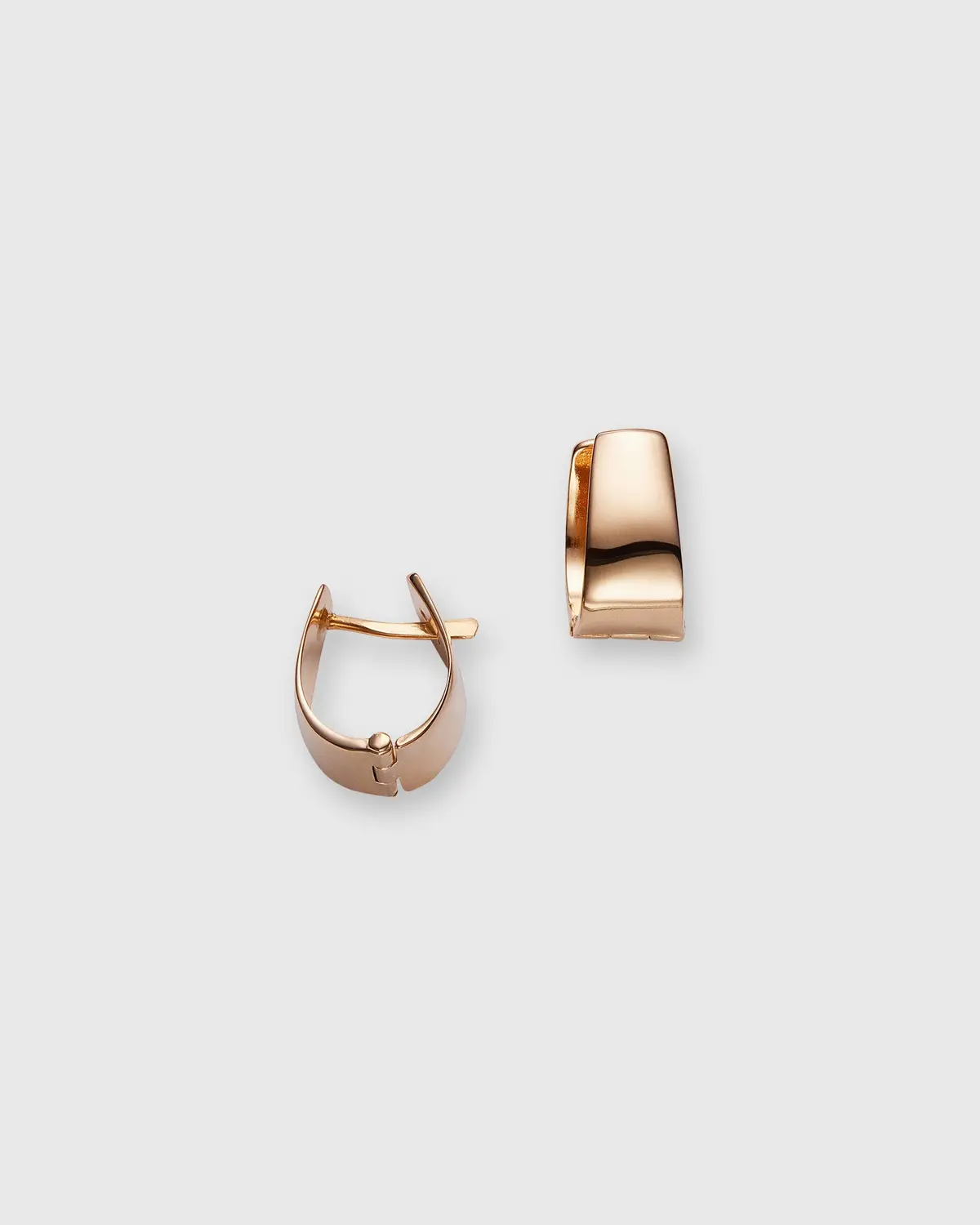Small Wide Hoop Earrings In Gold 1
