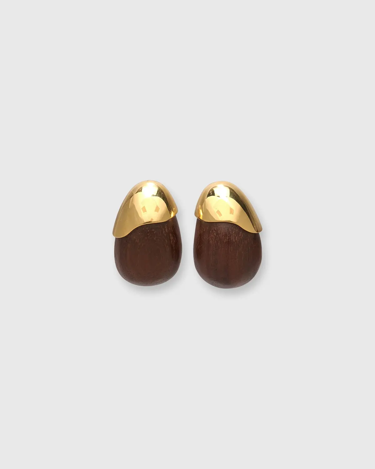 Toro Earrings In Brown 1