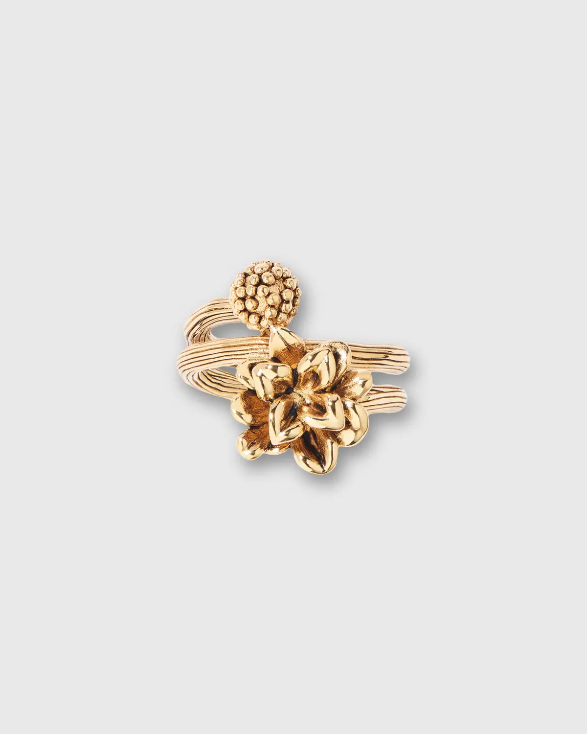 Anthos Ring In Gold 1