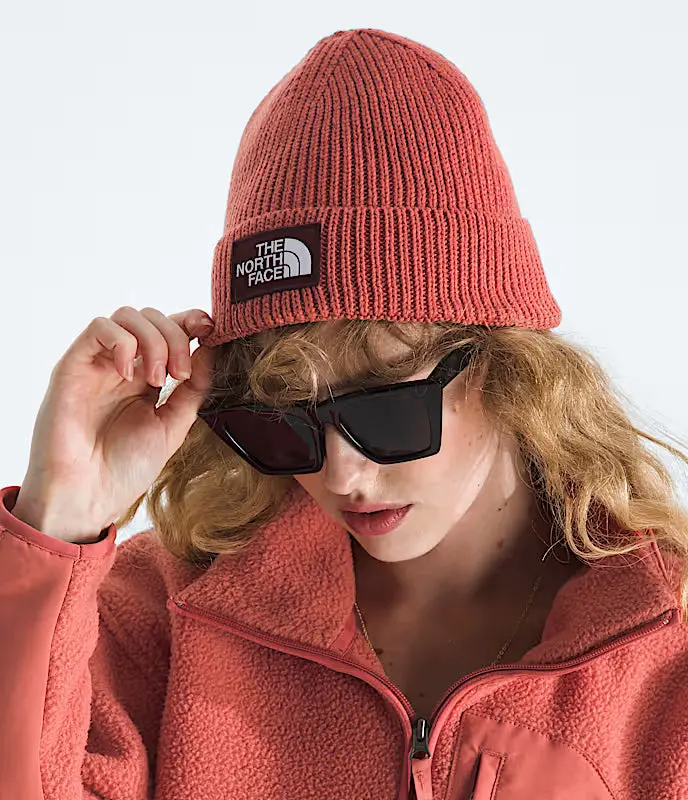 Tnf Logo Box Cuffed Beanie - Nf0a8che 10