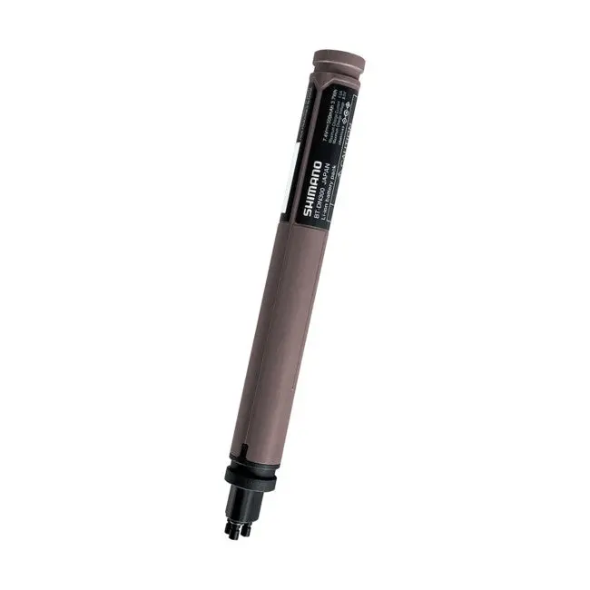 Battery, Bt-Dn300, Built-In Type 1