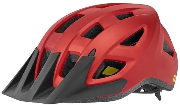Path Mips Helmet (Past Season) 1