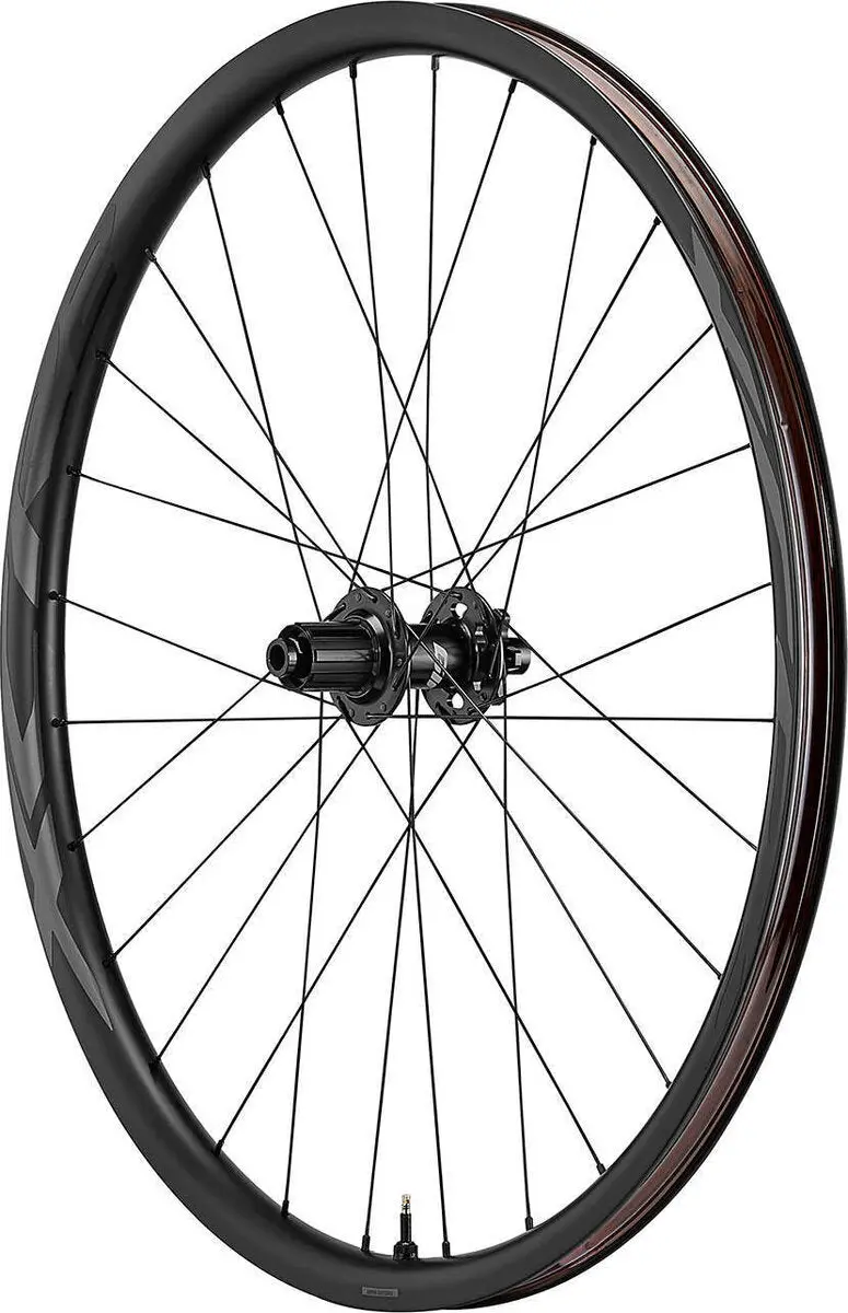 Xcr 2 29 Rear Wheel 2