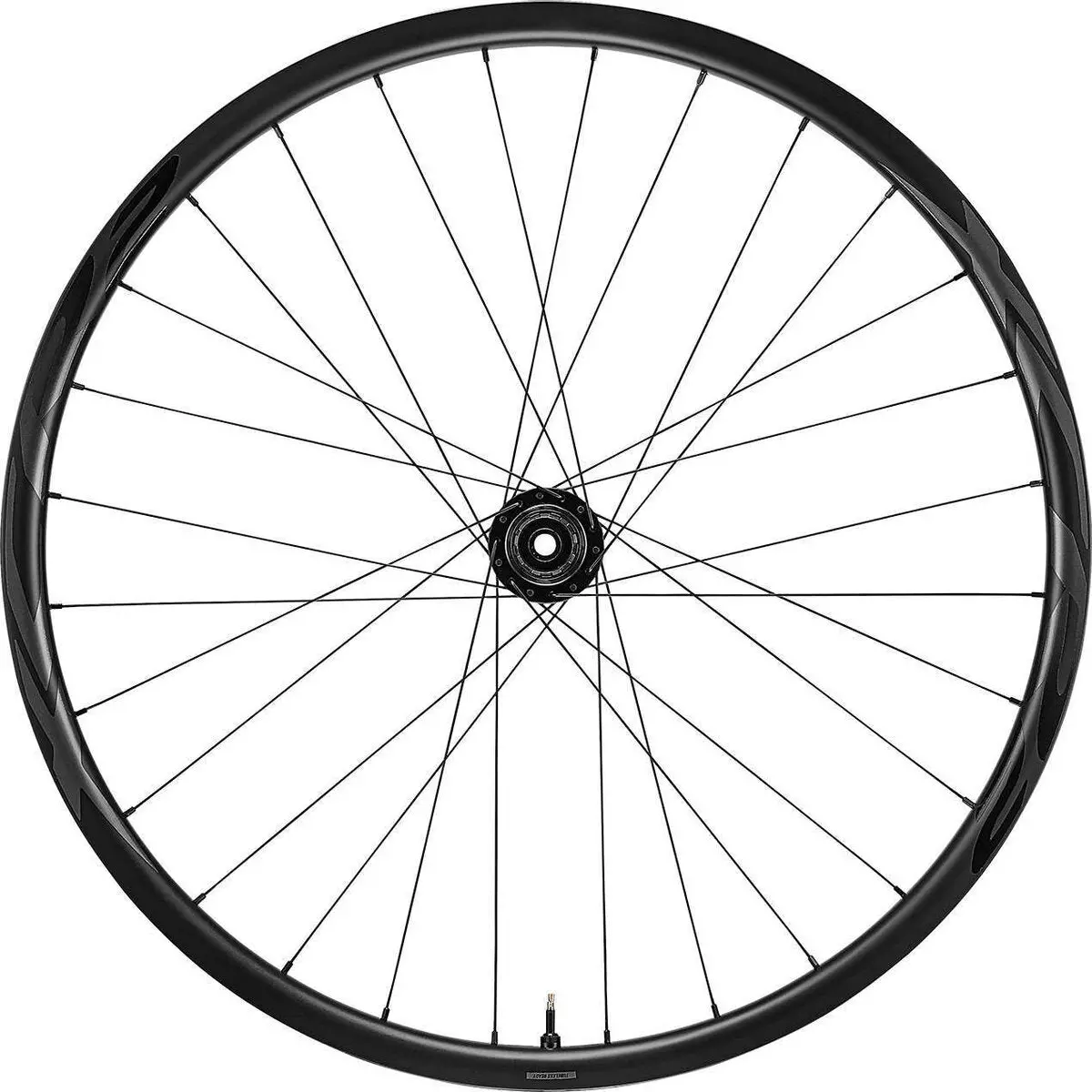 Xcr 2 29 Rear Wheel 1