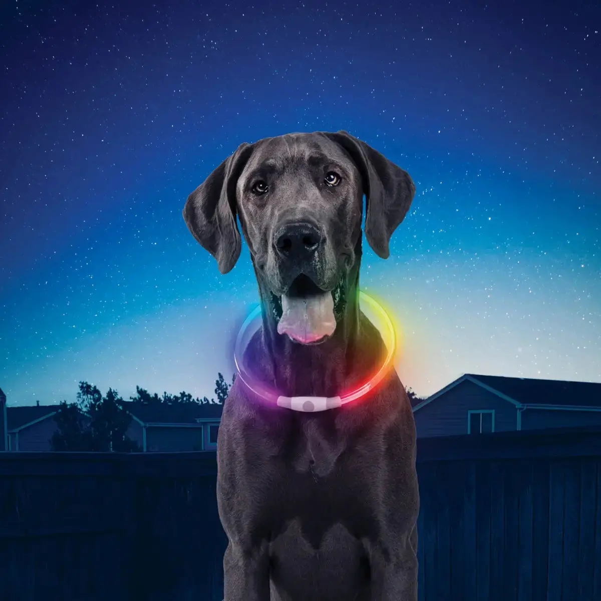 Nitehowl® Rechargeable Led Safety Necklace - Disc-O Select™ 1