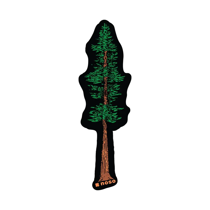 Tree Of Knowledge - Redwood Patch 1