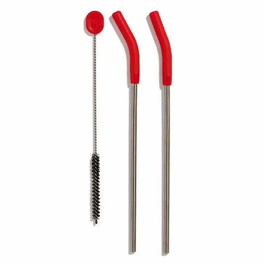 Stainless Steel Straw Set 1