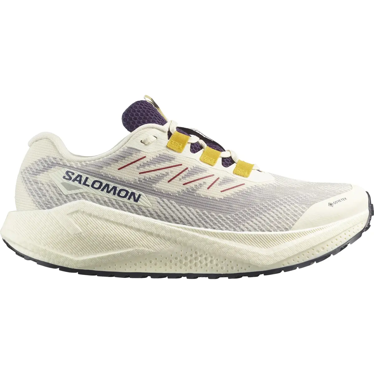 Aero Blaze 3 Grvl Gore-Tex (Men's) 1