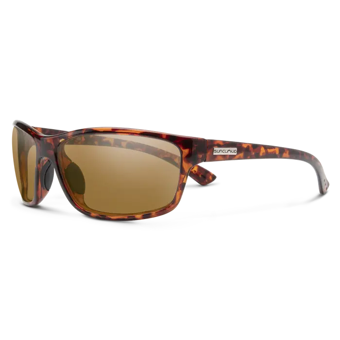 Sentry - Tortoise + Polarized Brown Lenses 1